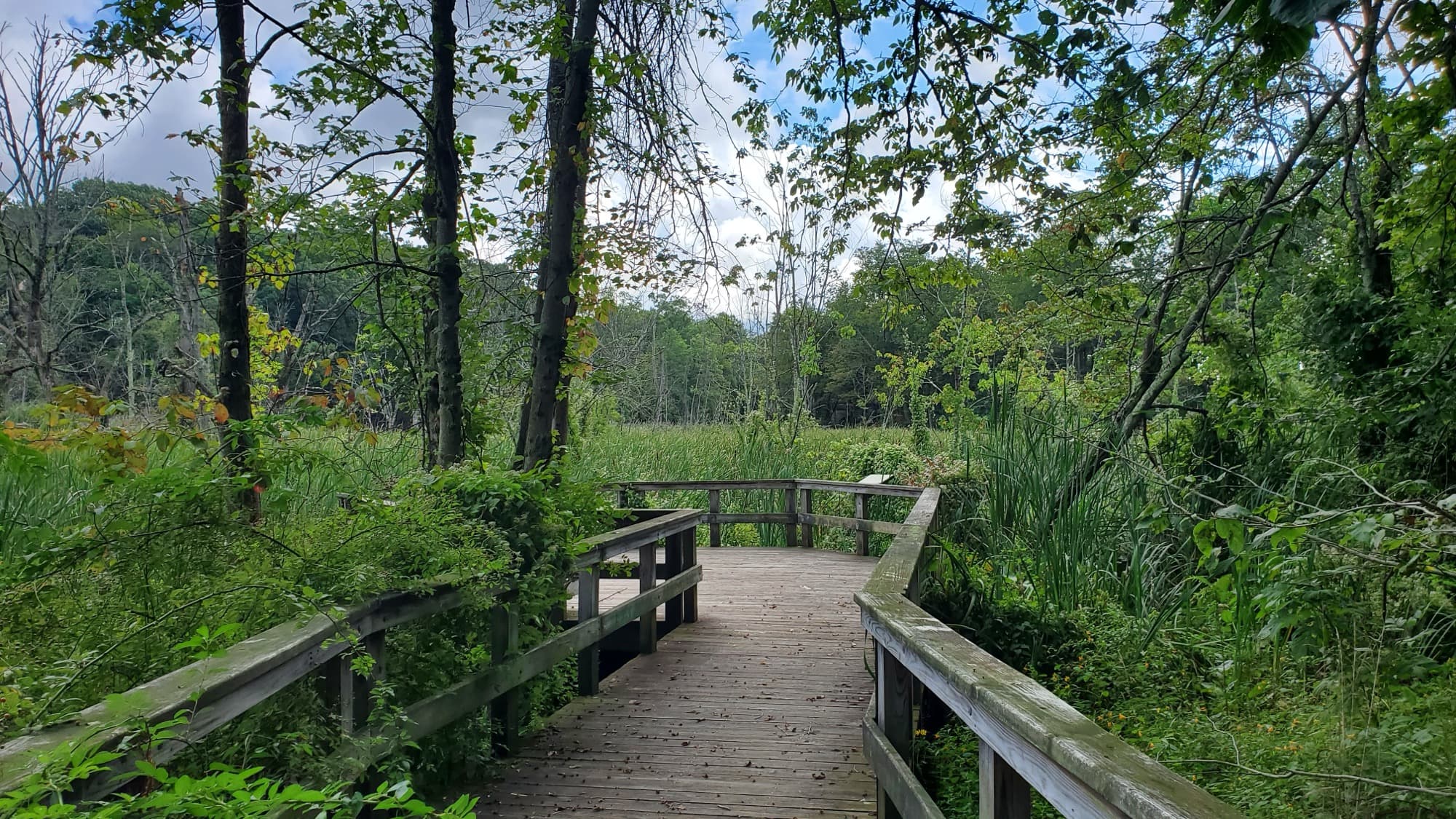 Edgewood