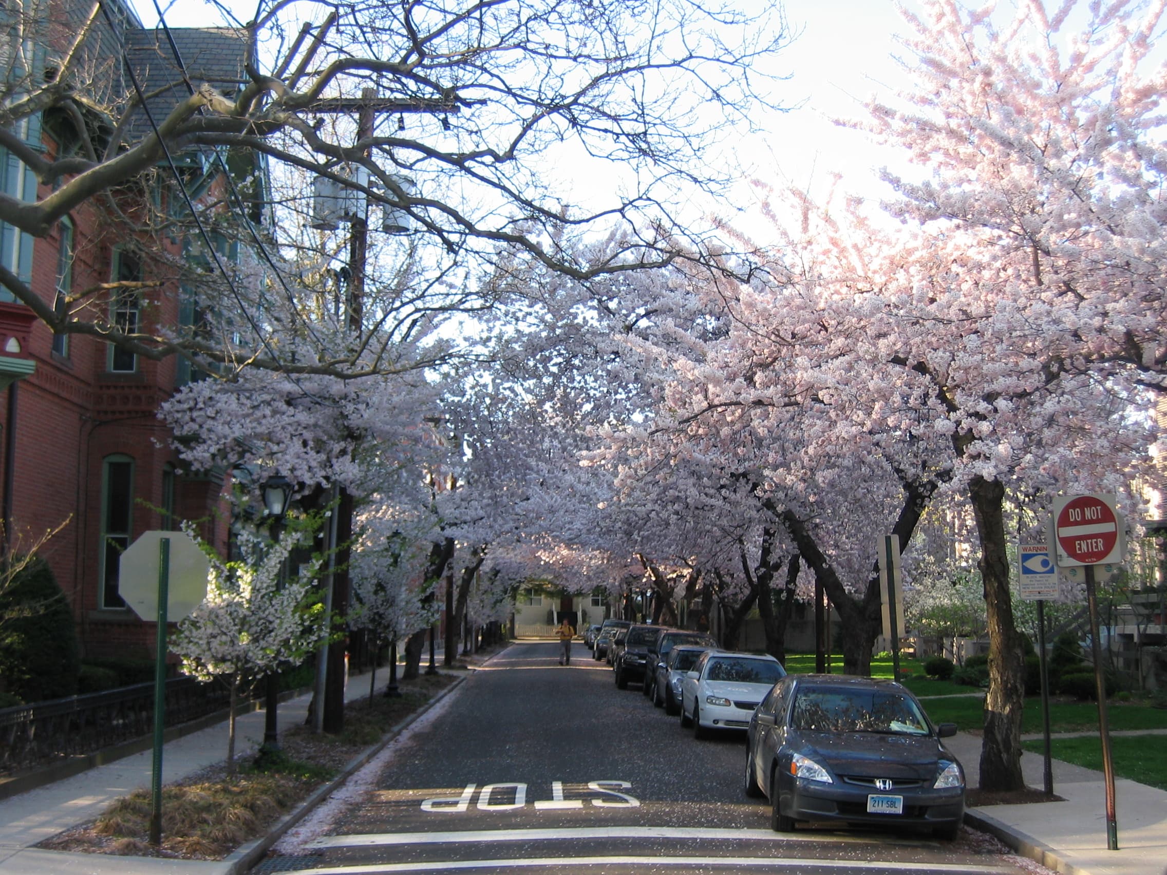 Wooster Square