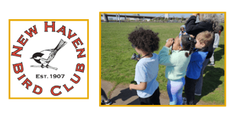 New Haven Bird Club