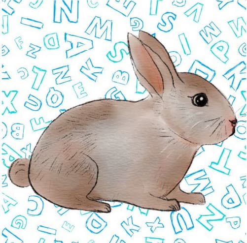 Books with Bunnies