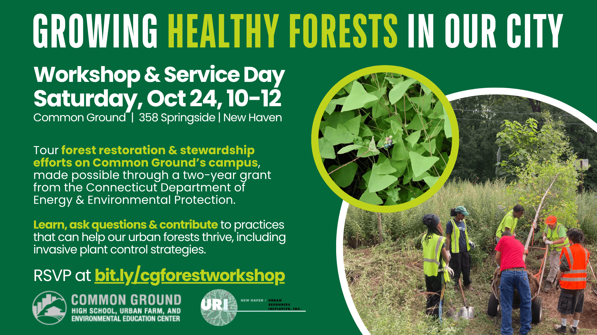 Growing Healthy Forests