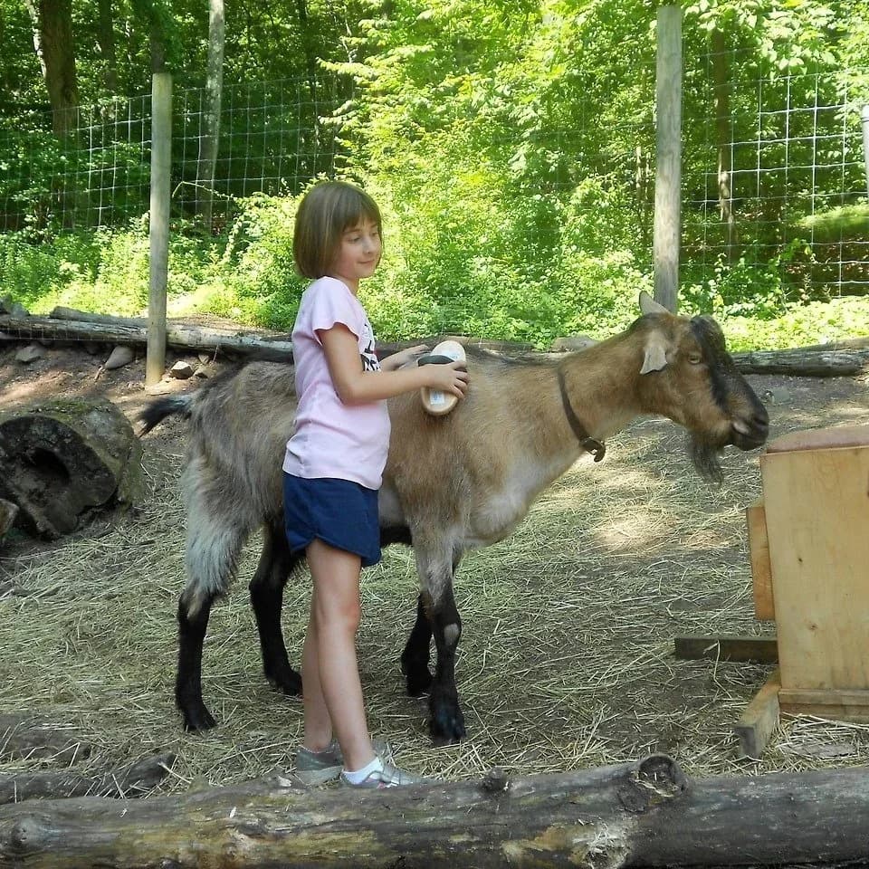 Open Farm Day