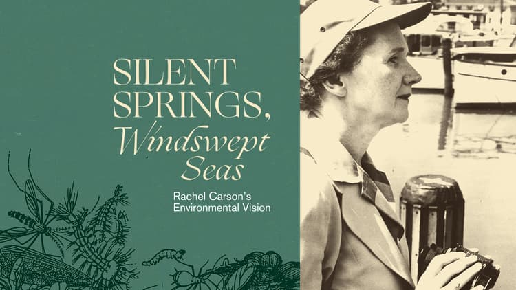 Silent Springs, Windswept Seas: Rachel Carson’s Environmental Vision