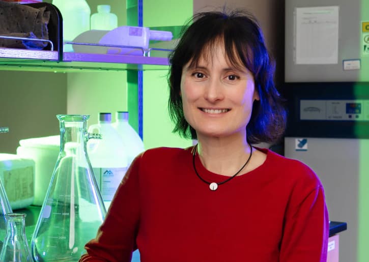 From Robots to Cyborgs: Automation and Glycan Synthesis Methods