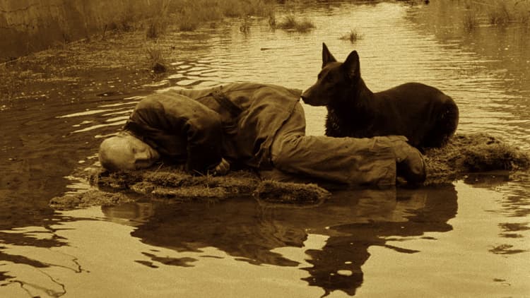 Film | STALKER (1979)