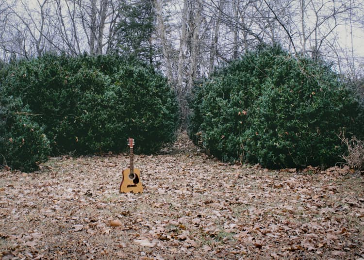 All Trees Bear Witness: Colonial Histories, Climate Breakdown, and Sonic Experiments in Silvic Storytelling (Film Screening & Discussion)