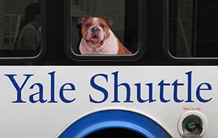 West Campus Town Hall - Yale Shuttle