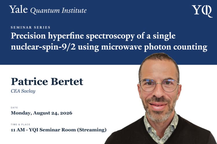YQI Seminar - Patrice Bertet - CEA Saclay