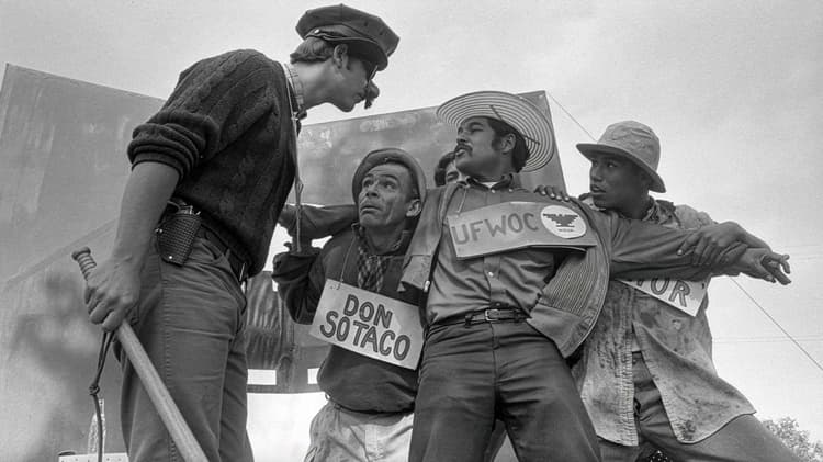 Film: American Pachuco: The Legend of Luis Valdez