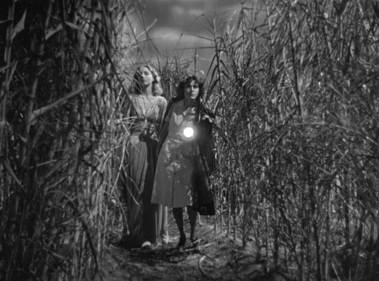 Film: I Walked with a Zombie