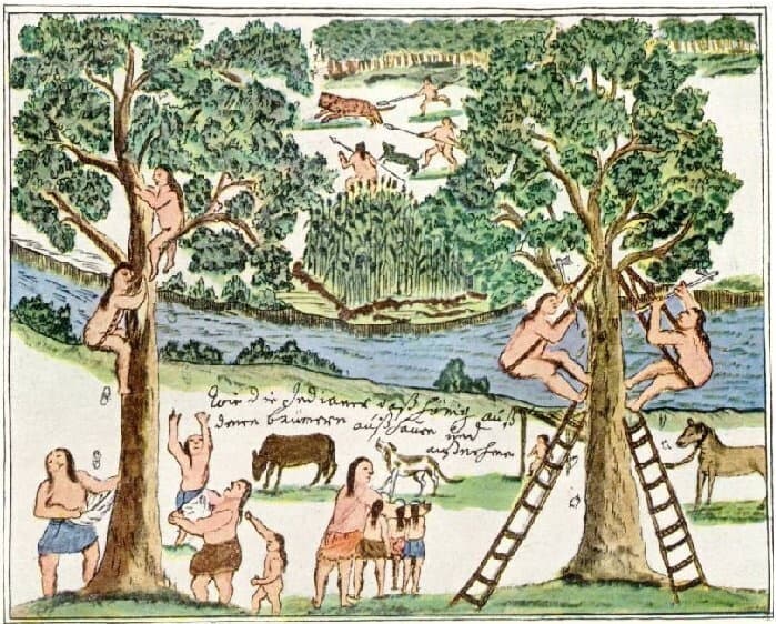 Two Perspectives on Paraguay