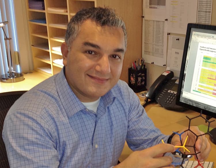Organic Chemistry Seminar with Prof. Mohammad Movassaghi, MIT