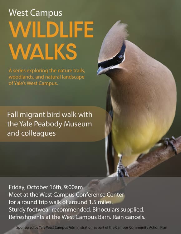 West Campus Wildlife Walks