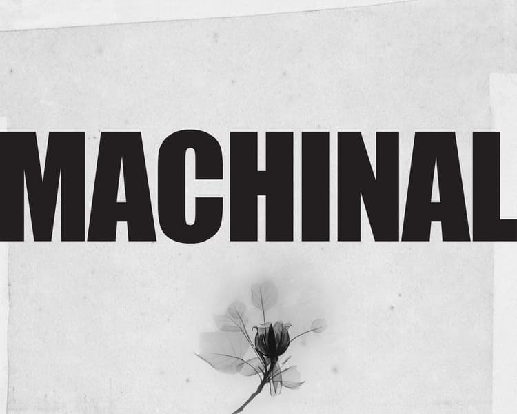 MACHINAL at DGSD