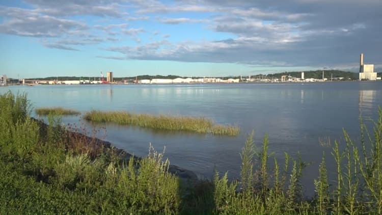 New Haven families make the most of Labor Day weekend despite rain