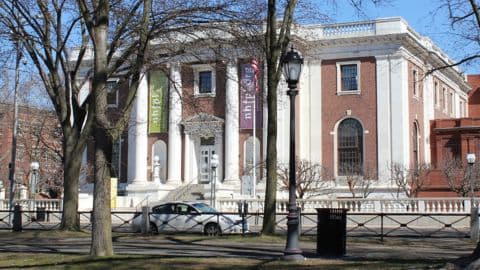 NHFPL America 250/Juneteenth Celebration on the New Haven Green