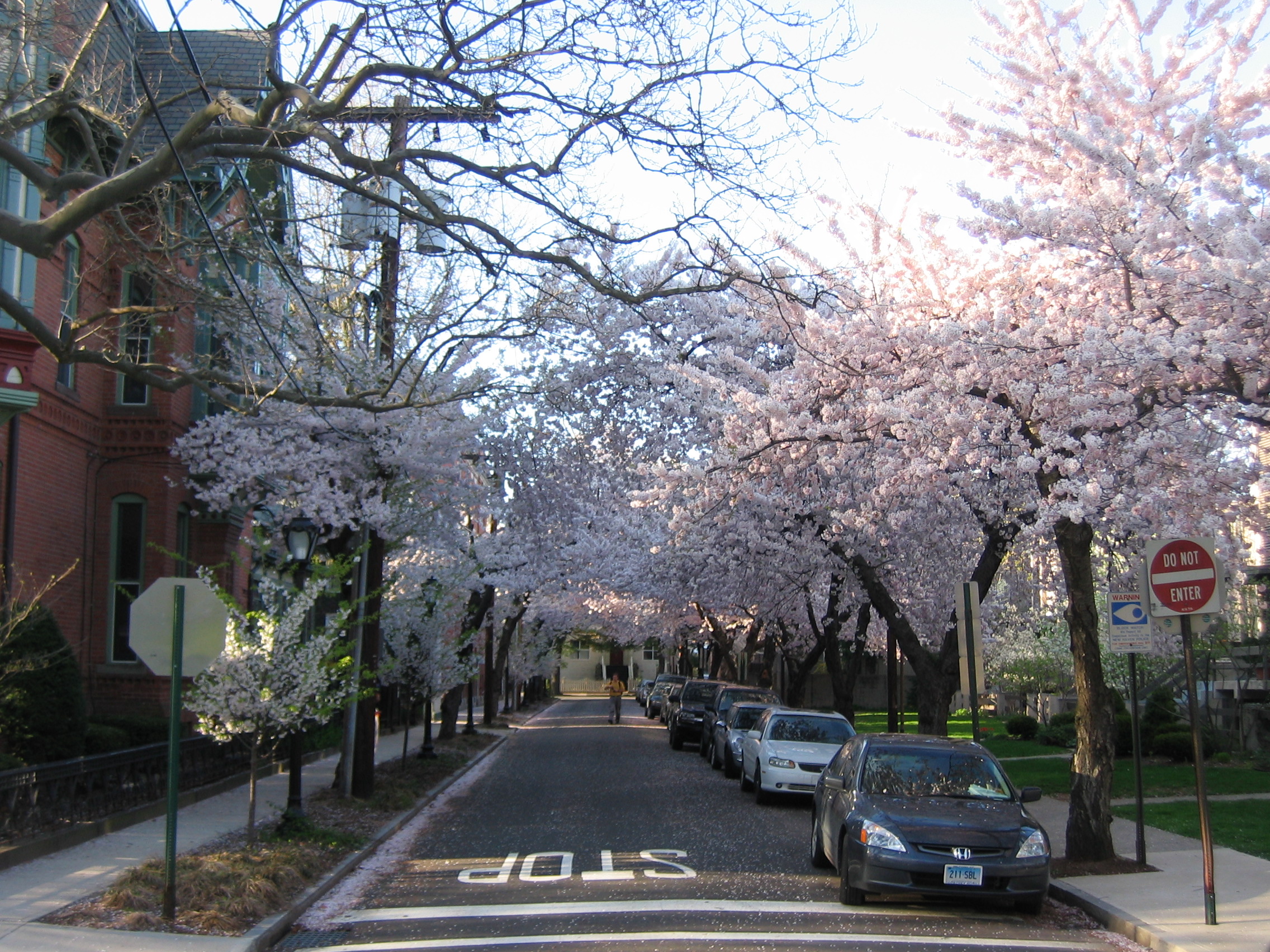 Wooster Square